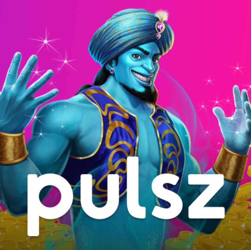 What is Pulsz Casino?